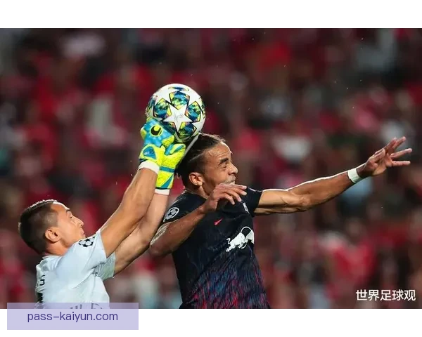 本菲卡攻防平衡表现稳健，竞争力持续提升